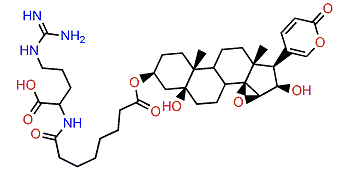 3-(N-Suberoyl argininyl)-desacetylcinobufotalin